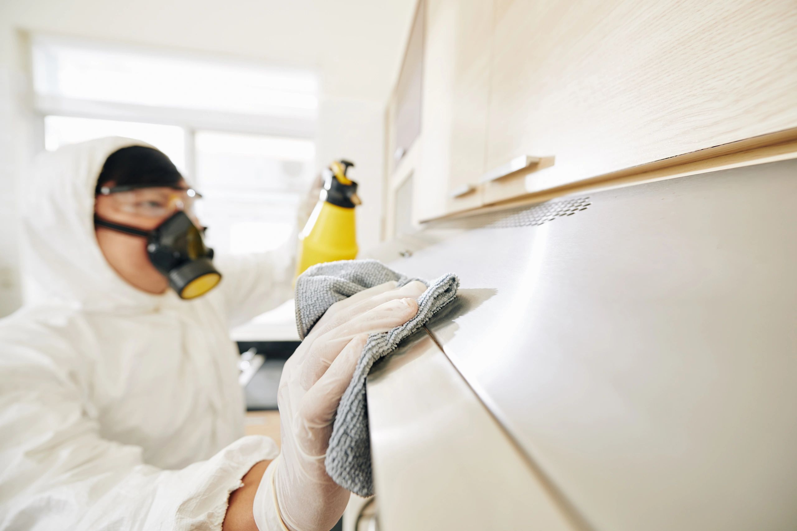 Mold Remediation 